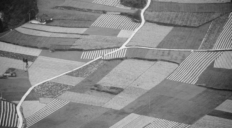 Stime e valutazioni di immobili o terreni sia agricoli che edificabili